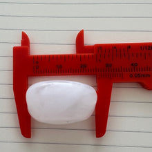 Load image into Gallery viewer, collar Maldives fishes