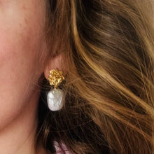 Load image into Gallery viewer, Rose