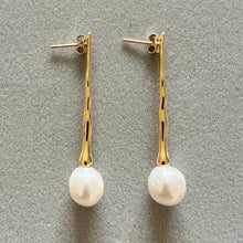 Load image into Gallery viewer, Gala