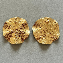 Load image into Gallery viewer, Chips