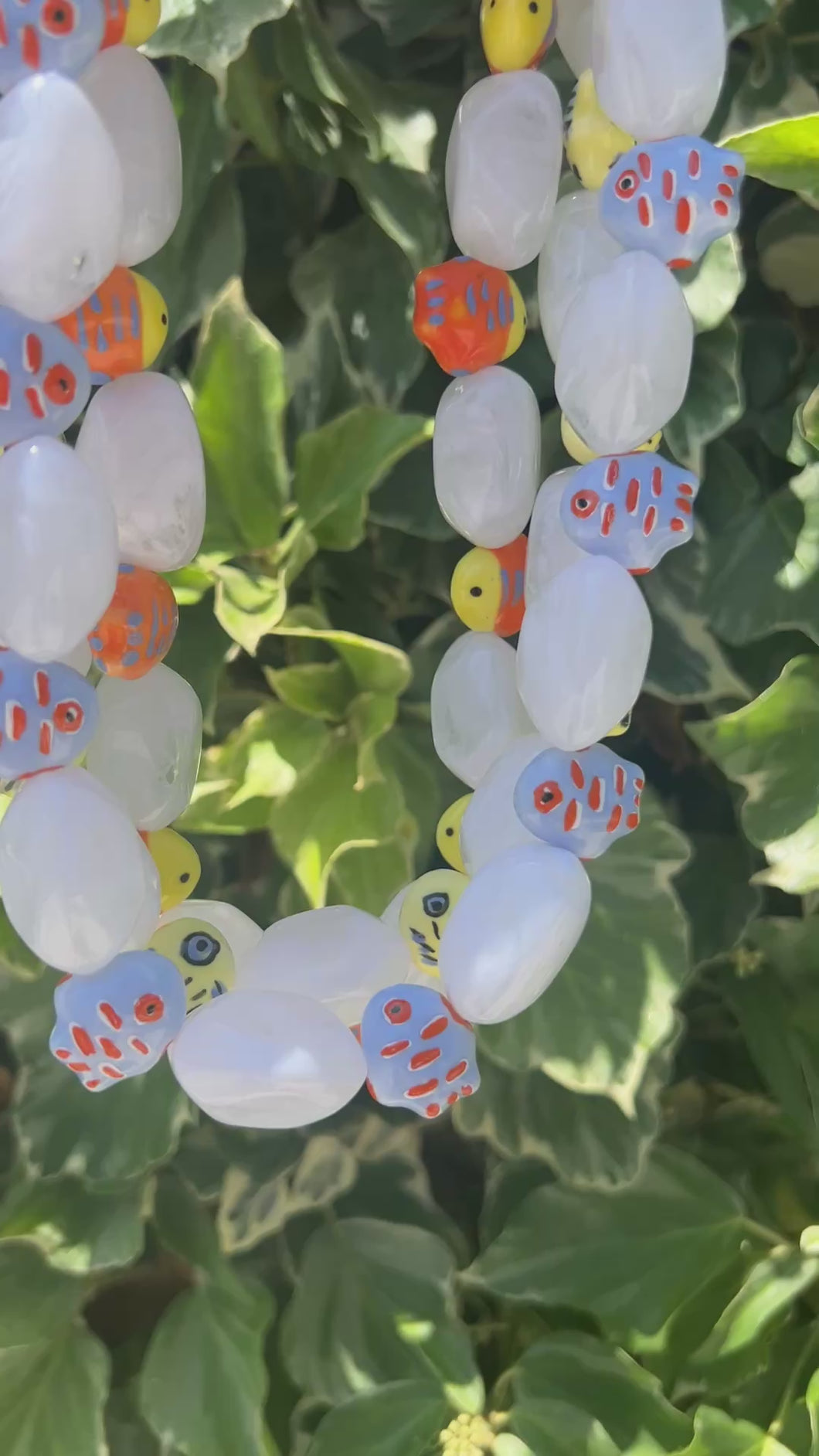 collar Maldives fishes